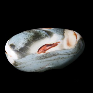 Polychrome Jasper