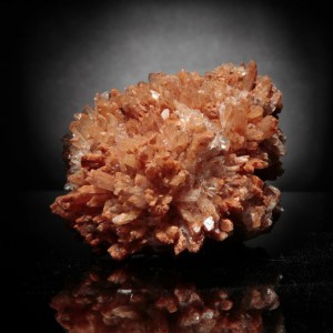 Creedite