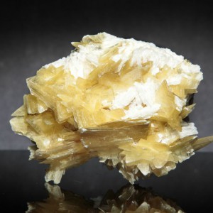 Muscovite