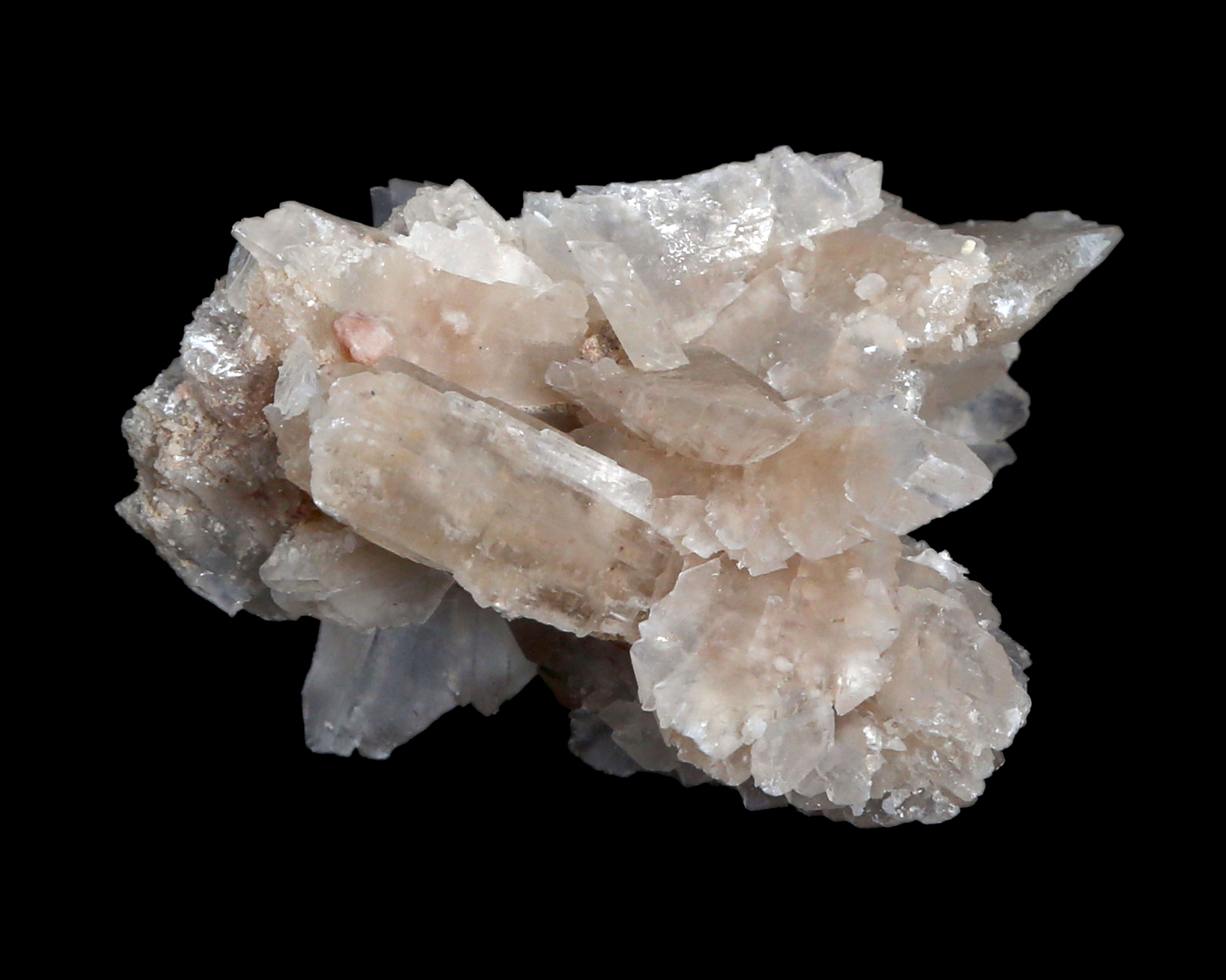  GYPSUM  1 5 X 2 25 Celestial Earth Minerals