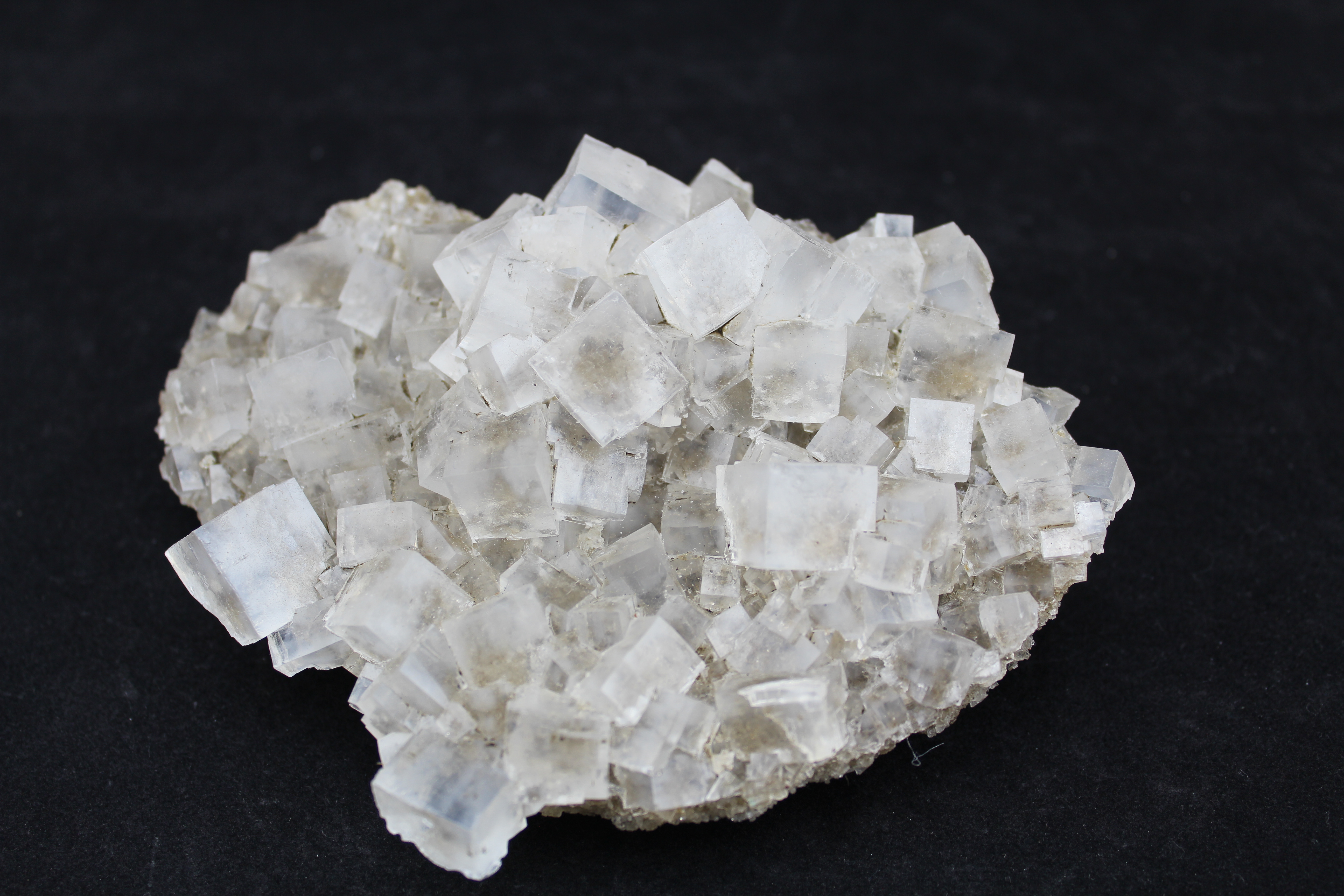 Halite Mineral Specimen - Celestial Earth Minerals
