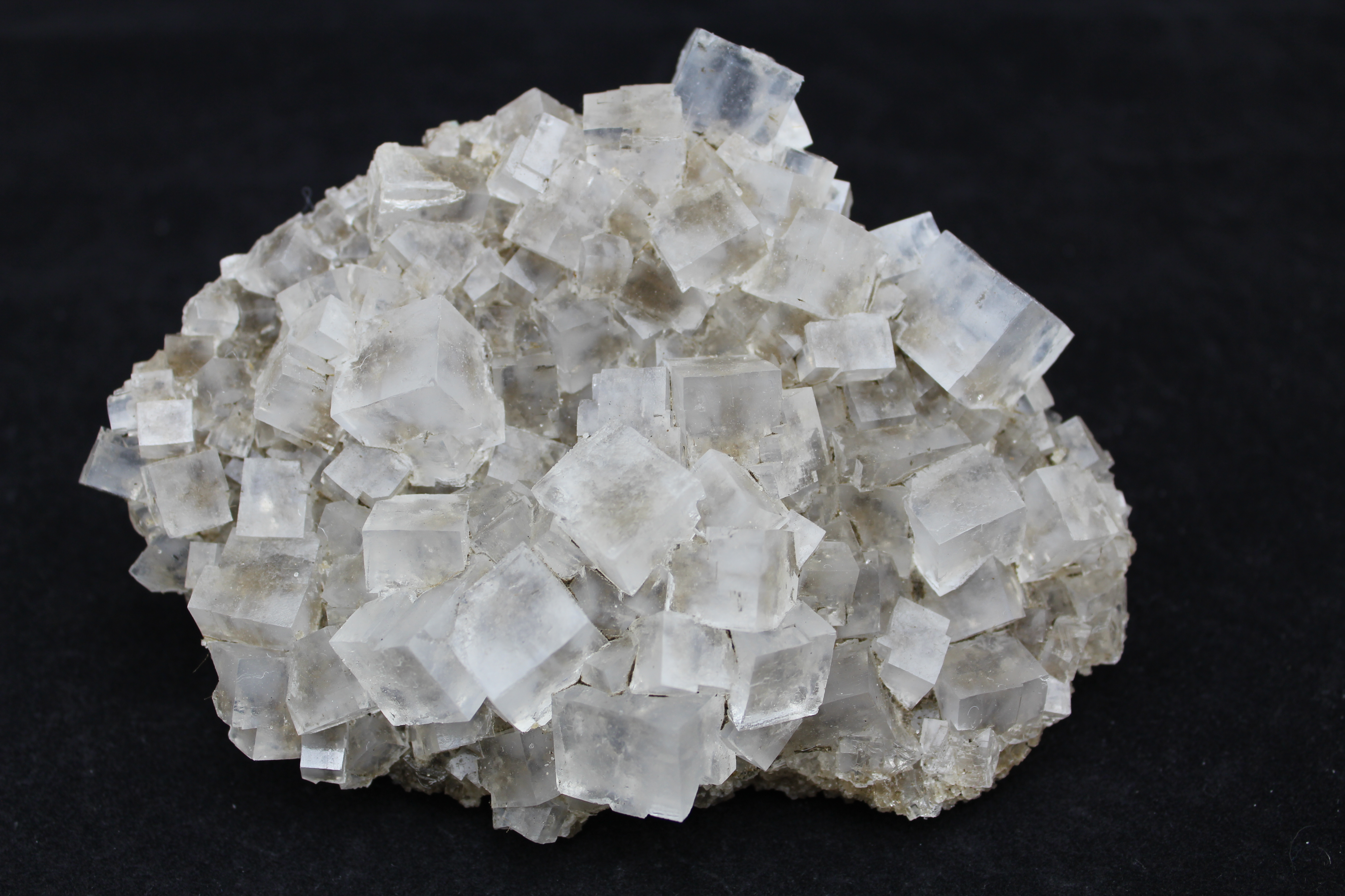 Halite Mineral Specimen - Celestial Earth Minerals
