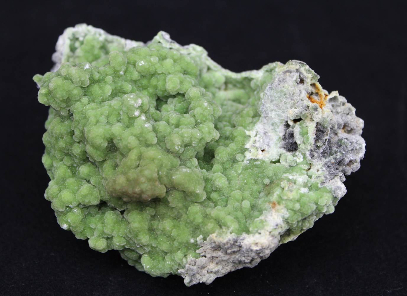 Wavellite Crystal Mineral Specimen - Celestial Earth Minerals