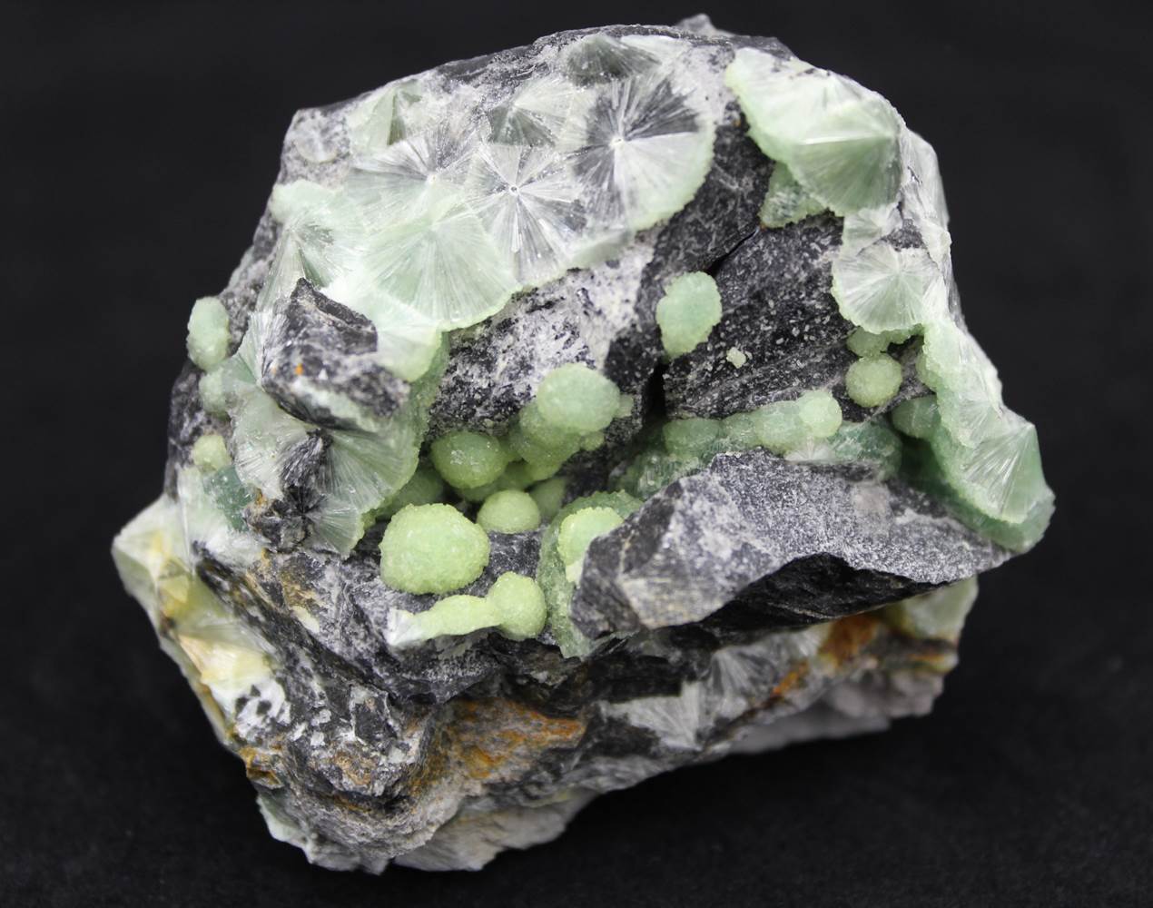 Wavellite Crystal Mineral Specimen - Celestial Earth Minerals
