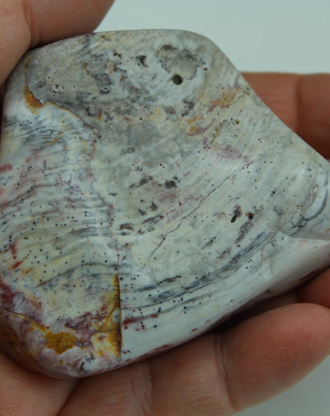 Flint var. Quartz 8 Celestial Earth Minerals